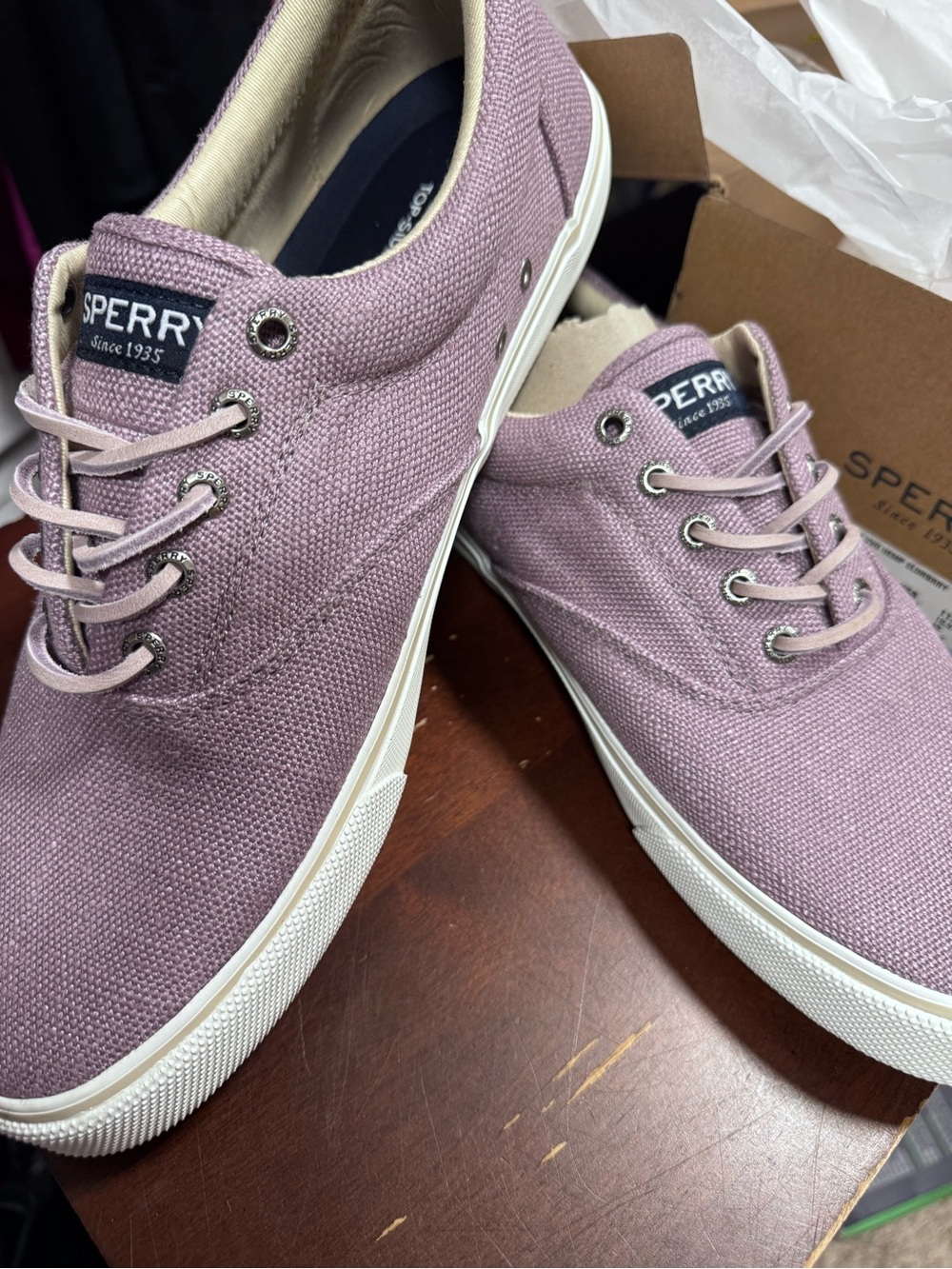 Sperry Men's Canvas Boat Shoes in Dusty Lavender